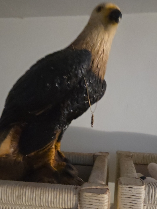 Other - Black and Tan Decorative Bird Figurine - Pets Bird